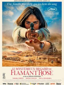 Le mystérieux regard du flamant rose (2025)